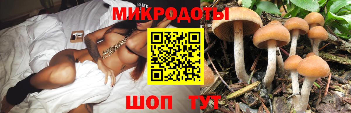 Галлюциногенные грибы Cubensis Геленджик
